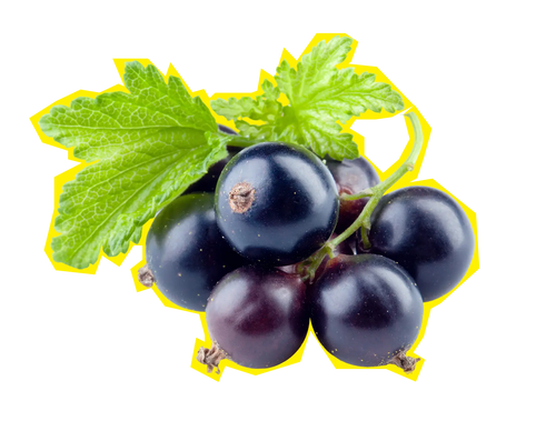 Currants