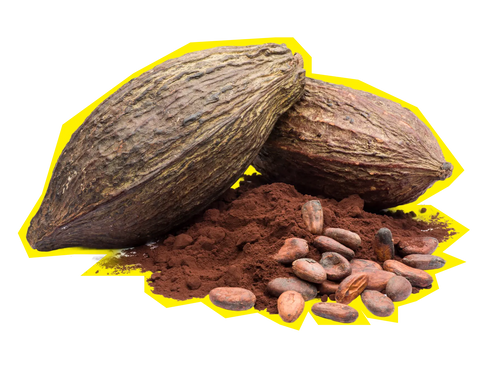 Cocoa
