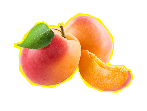 Aprikose